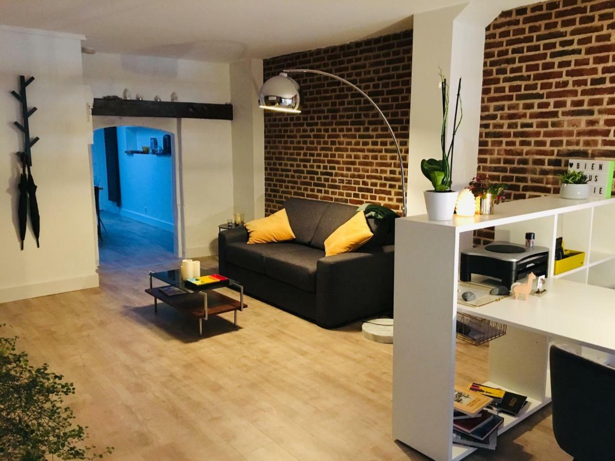 Appartement Heloise, Le Charme Du Vieux-Lilla Esterno foto